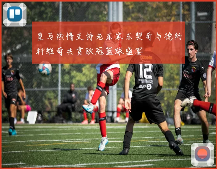皇马热情支持老东家东契奇与德约科维奇共赏欧冠篮球盛宴